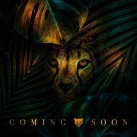 Cheetah - 2020 Coming Soon [Post]
