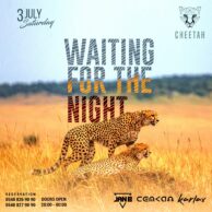 Cheetah - 3 Temmuz Cumartesi (Post)