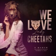 Cheetah - 8 March (Post)