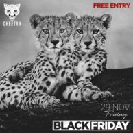 Cheetah - BlackFriday (29 Kasım Cuma) Post