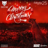 Cheetah - Christmas 25.12.21 (Post)