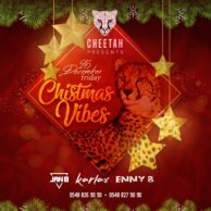 Cheetah - Christmas Vibes 25.12 [Post]