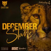 Cheetah - December Begins 04.12.21 (Post)
