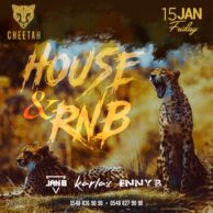 Cheetah - House vs. R&B 15.01 [Post]