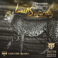 Cheetah - Lush Saturday 21.10 [Post]