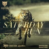 Cheetah - Lush Saturday [Post] 5