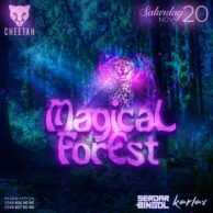 Cheetah - Magical Forest 20.11.21 (Post)