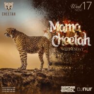 Cheetah - MamaCheetah 17.11.21 (Post)