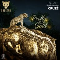 Cheetah - Pretty In Gold (08.01.20) Post