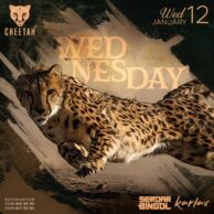 Cheetah -Wednesday 12.01.22 (Post)