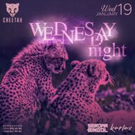 Cheetah -Wednesday 19.01.22 (Post)