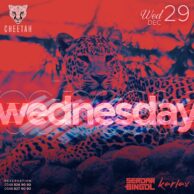 Cheetah - Wednesday 29.12.21 (Post)