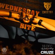 Cheetah - Wednesday Bite (18.12.19)