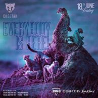Cheetah - 18 Haziran Cuma (Post)