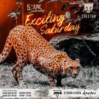Cheetah - 5 Haziran Cumartesi (Post)