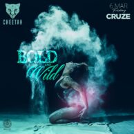 Cheetah - Bold & Wild - 6 Mart Cuma - Post