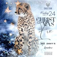 Cheetah - Christmas Eve 24.12.21 (Post)