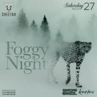 Cheetah - Foggy Night 27.11.21 (Post)