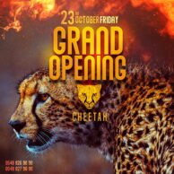 Cheetah - Grand Opening [Post] V2