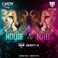 Cheetah - House & RnB [Post]