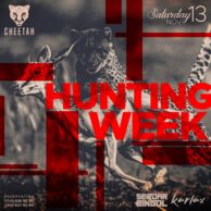 Cheetah - Hunting Week 13.11.21 (Post)
