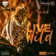 Cheetah - Live Wild 18.12.21 (Post)