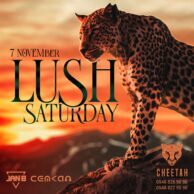 Cheetah - Lush Saturday [Post] 1