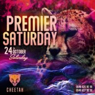 Cheetah - Premier Saturday