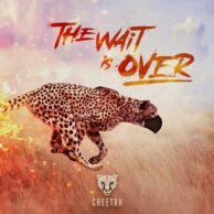 Cheetah - The Wait is Over [Post]