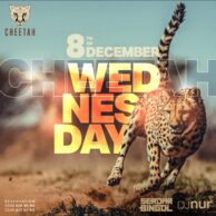 Cheetah - Wednesday 08.12.21 (Post)