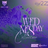 Cheetah - Wednesday 22.12.21 (Post)